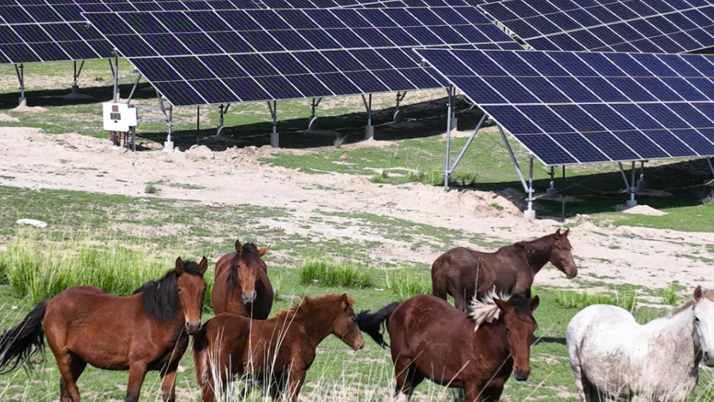 888���š����й������ٷ���վ